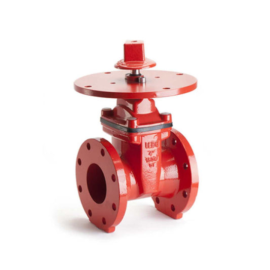 Flanged NRS Gate Valve